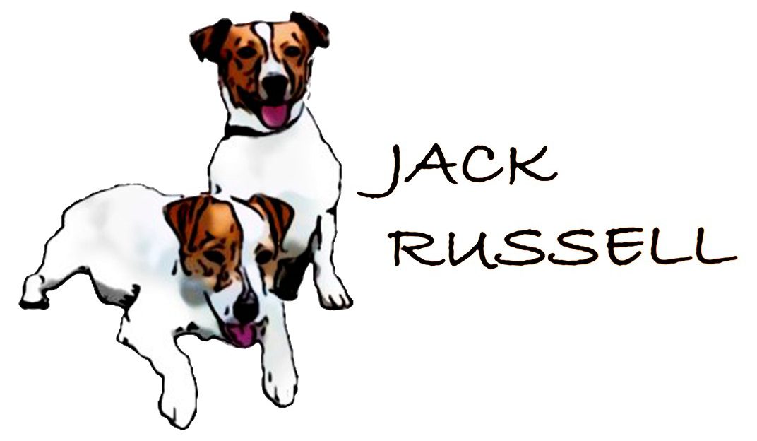 JACK RUSSEL